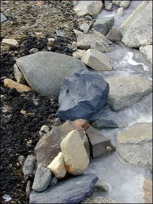 Rocks at Lake Fryxell
