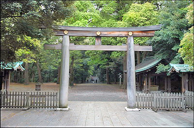 Meiji Shrine - Torii