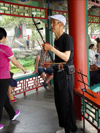 Musician playing an Erhu - a traditional Chinese 
													 instrument with two strings.